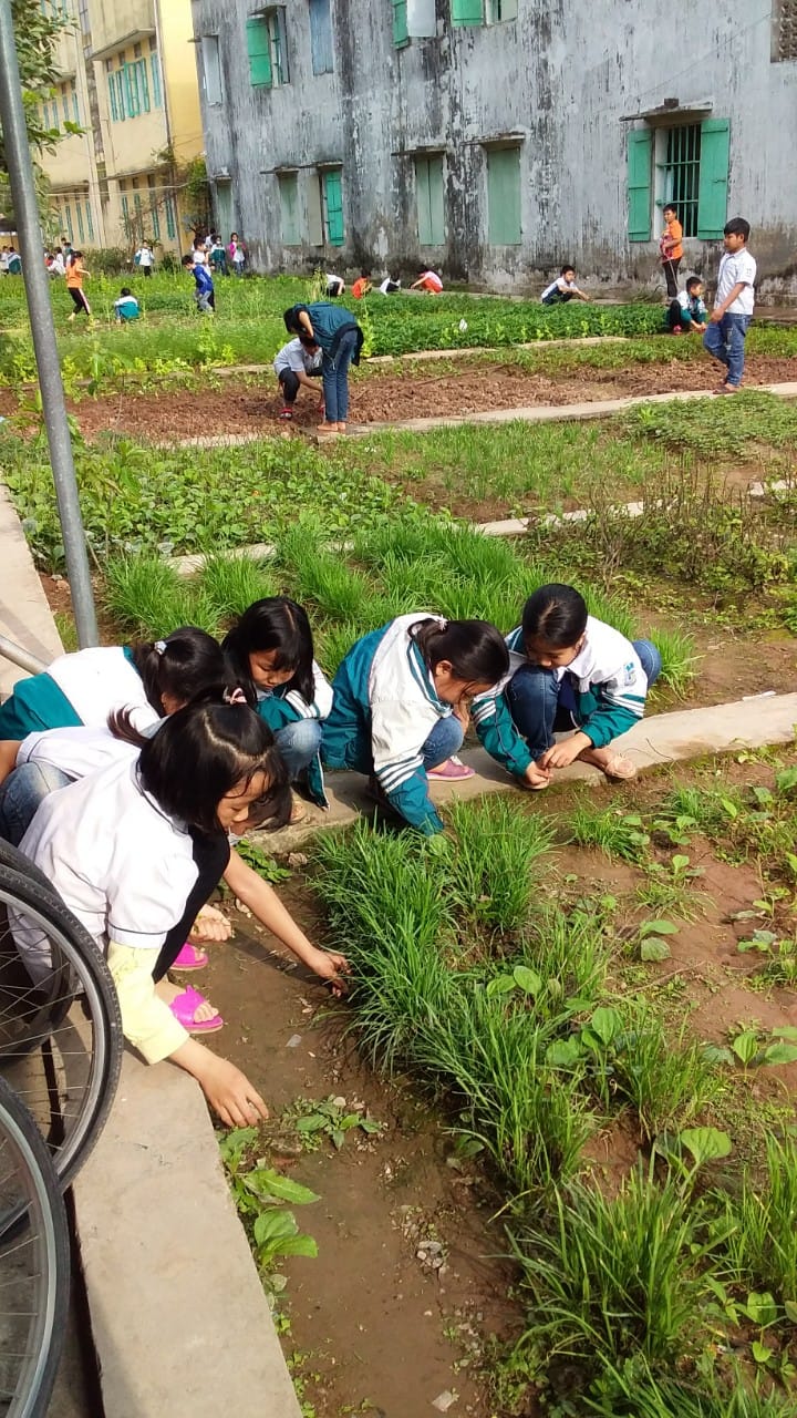 Trường Tiểu học xã Nghĩa Thái hưởng ứng Tết trồng cây đầu xuân