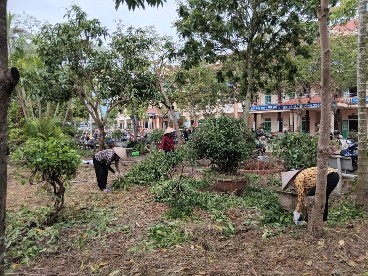 TRƯỜNG TIỂU HỌC NGHĨA THÁI RA QUÂN LAO ĐỘNG, VỆ SINH TRƯỜNG LỚP CHUẨN BỊ NĂM HỌC MỚI TRƯỜNG TIỂU HỌC NGHĨA THÁI RA QUÂN LAO ĐỘNG, VỆ SINH TRƯỜNG LỚP CHUẨN BỊ NĂM HỌC MỚI