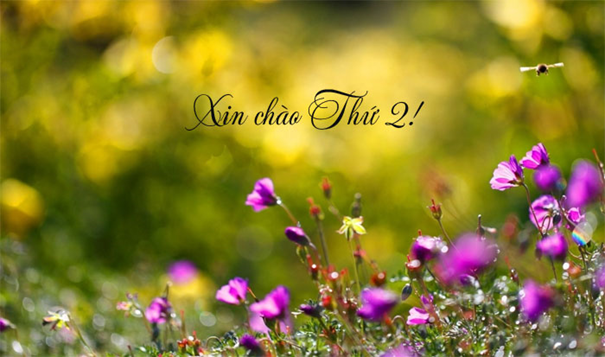 HELLO! TUẦN MỚI HELLO! TUẦN MỚI