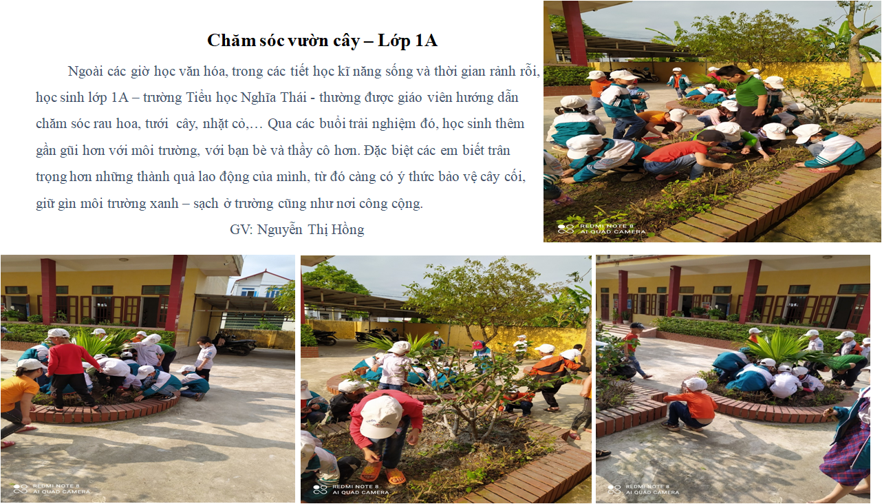 Dạy học sinh chăm sóc rau hoa – 1A Dạy học sinh chăm sóc rau hoa – 1A